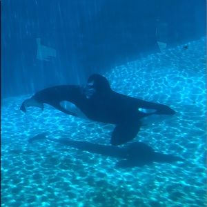 Meet your Posher, Hilda